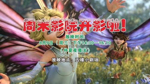 屌丝影院的相关介绍