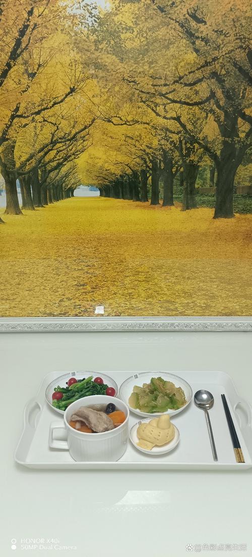 精品少妇人妻久久久的相关介绍