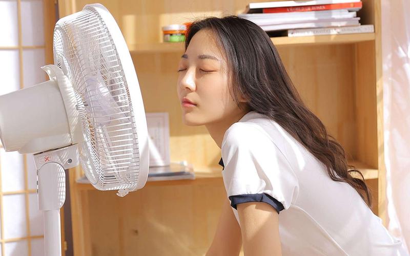 狼客影院的相关介绍