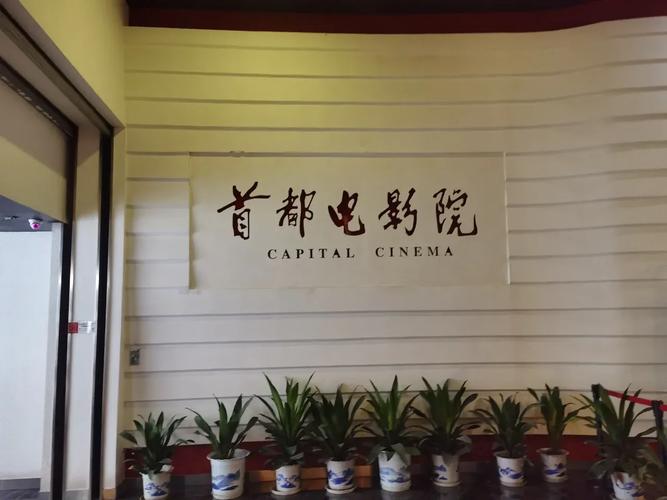 大香蕉影院的相关介绍