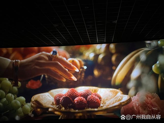 app 下载视频的相关介绍